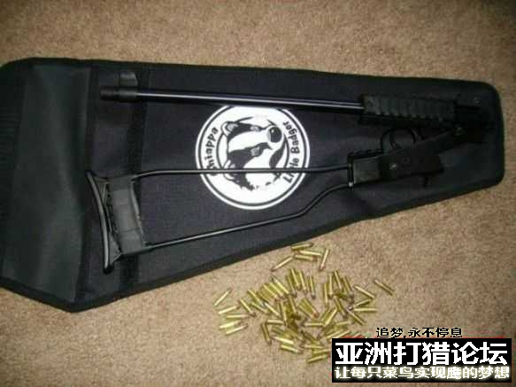 老外拆解 Chiappa Little Badger 22LR