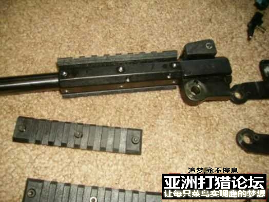 老外拆解 Chiappa Little Badger 22LR