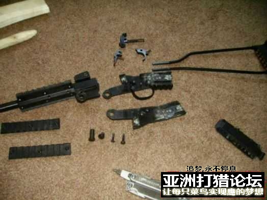 老外拆解 Chiappa Little Badger 22LR