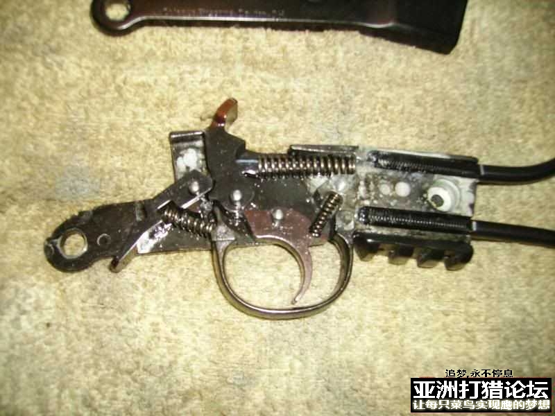 老外拆解 Chiappa Little Badger 22LR