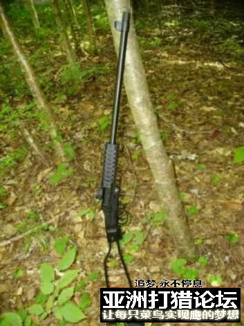 老外拆解 Chiappa Little Badger 22LR