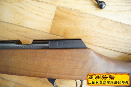 塞尔维亚zastava MP22  .22LR小口