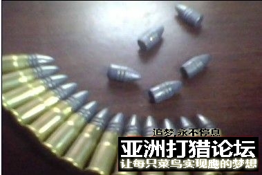 应众多狗友的要求,发布已成功的4.5小口的实例!!