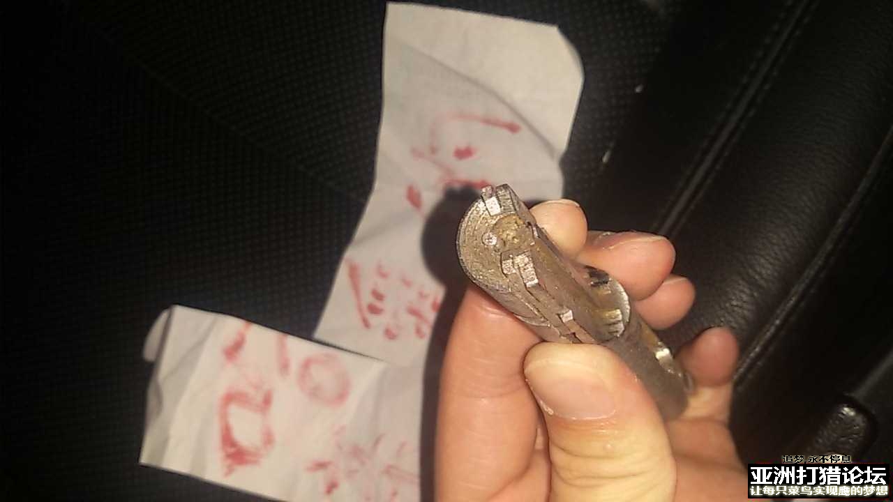 老狗健卫8栓