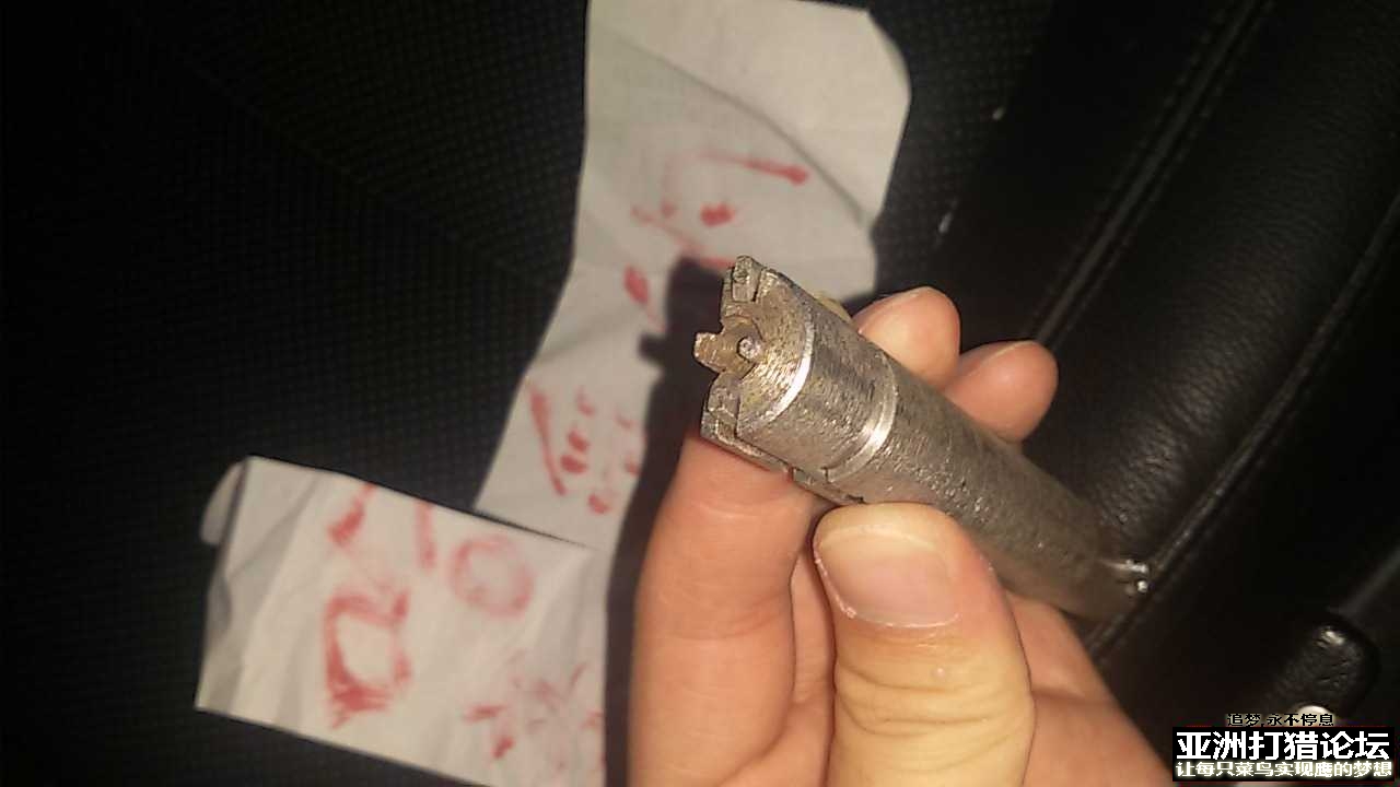 老狗健卫8栓