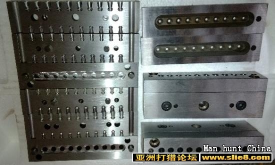 曙光精品母鸡（附图）