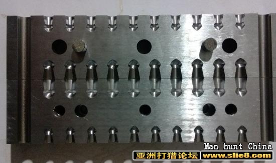 曙光精品母鸡（附图）