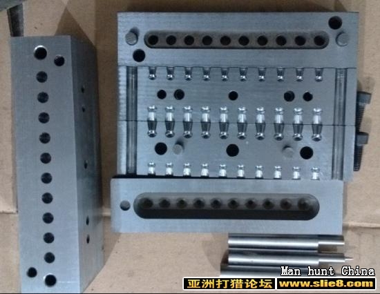 曙光精品母鸡（附图）