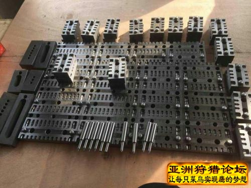 中原极品母鸡