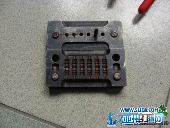 发哥摸大家摸摸