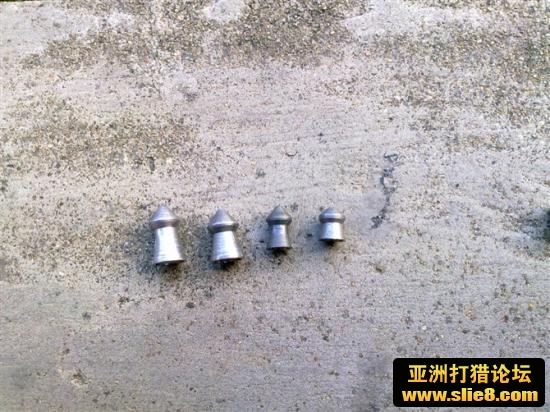 母鸡来也