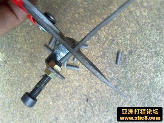 母鸡来也