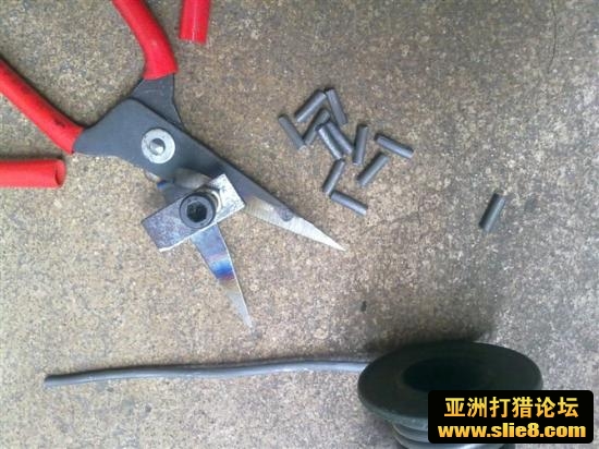 母鸡来也