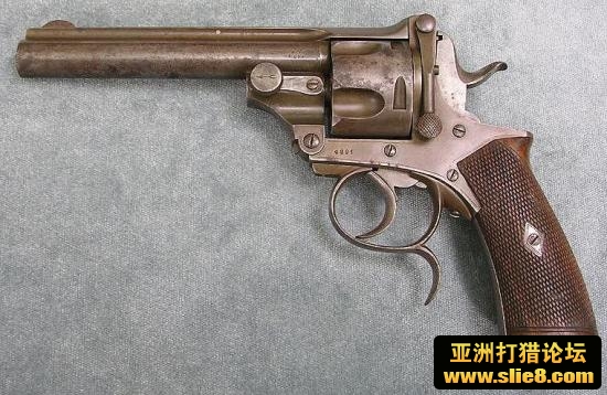 经典老古董狗欣赏
