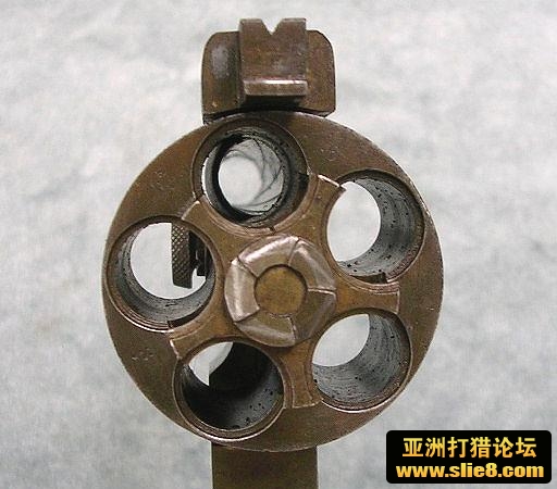 经典老古董狗欣赏