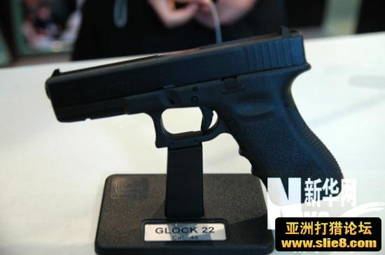 名狗欣赏