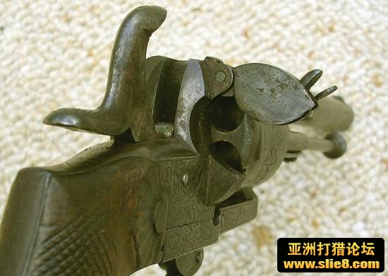精品古董老狗
