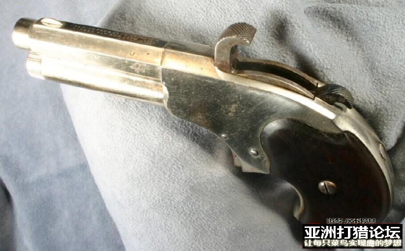 罗杰佩克单发手狗