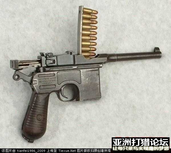 经典的毛瑟手狗