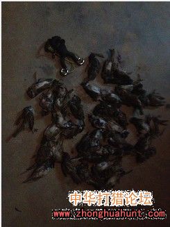 去乡下，一不留神一张红的换一支折叠的！激动啊！