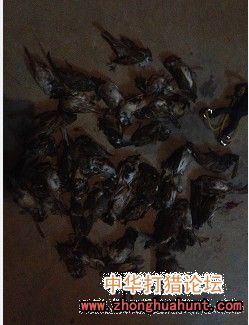 去乡下，一不留神一张红的换一支折叠的！激动啊！