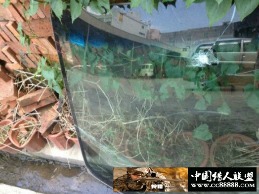 4.5中握tu，0.8g仿德蛋蛋，废弃的汽车玻璃！