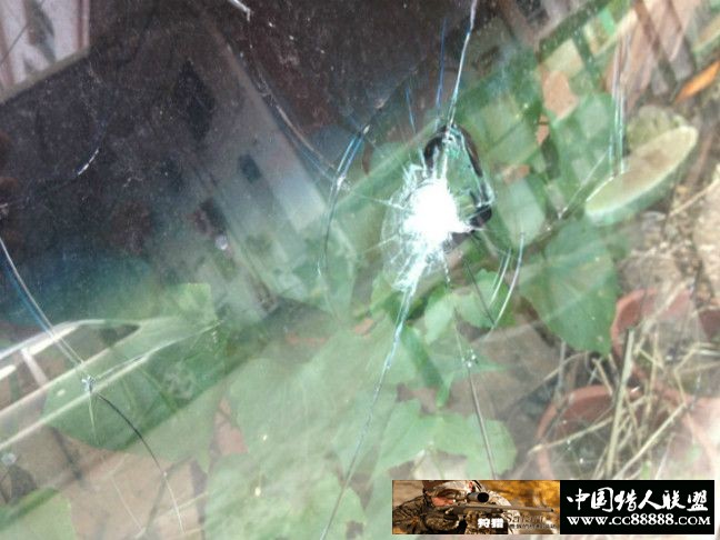 4.5中握tu，0.8g仿德蛋蛋，废弃的汽车玻璃！