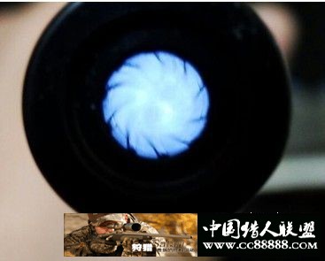 美国双狮24管子 