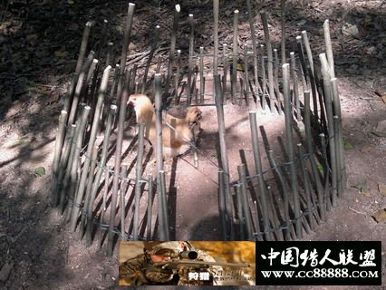 山顶发现神秘装置