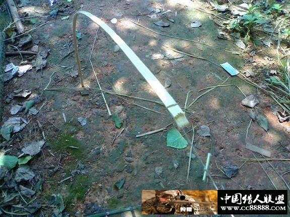 套野鸡和斑鸠的套详细图