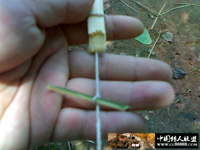 套野鸡和斑鸠的套详细图