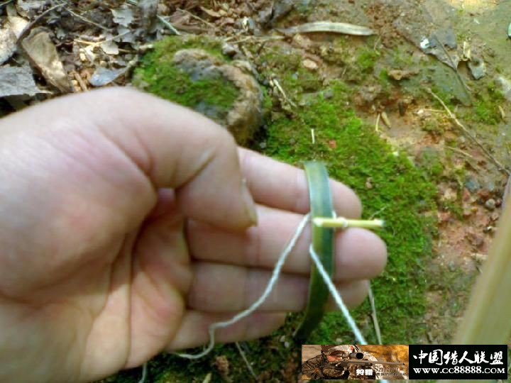 套野鸡和斑鸠的套详细图