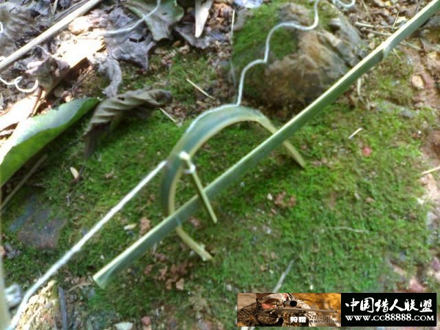 套野鸡和斑鸠的套详细图