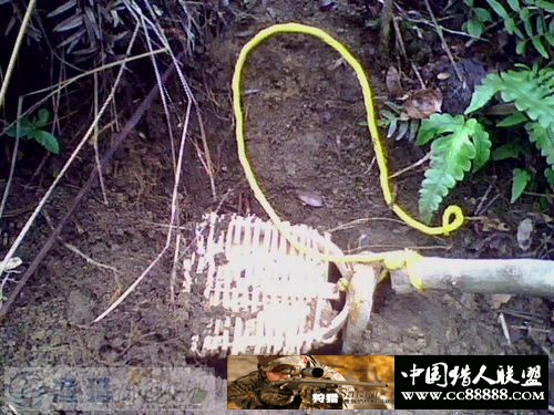 经典实用之-绳套篇