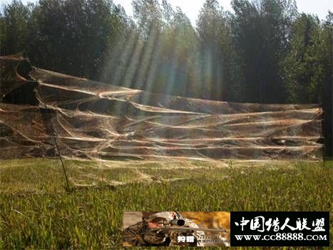 鸟类的捕捉方法与工具