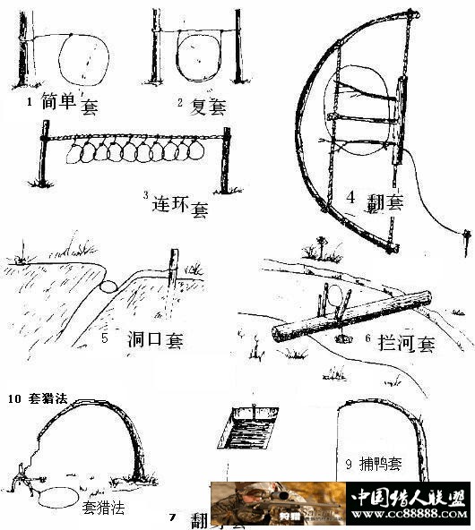 套野兔野鸡野猪的简单方法