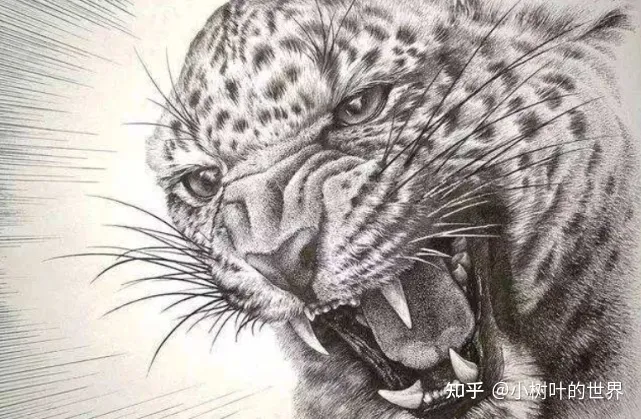 猎户不对母兽和幼兽下手,涸泽而渔”、“杀鸡取卵