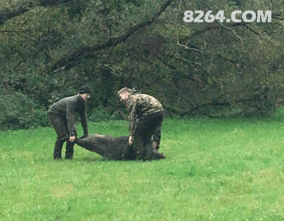驱车600km深入巴伐利亚腹地，体验欧洲职业猎人的打猎生活！
