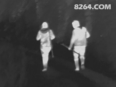 驱车600km深入巴伐利亚腹地，体验欧洲职业猎人的打猎生活！