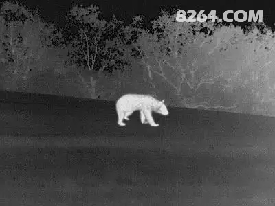 驱车600km深入巴伐利亚腹地，体验欧洲职业猎人的打猎生活！