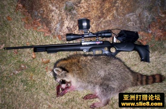 预储气式气动步PCP,中国狩猎
