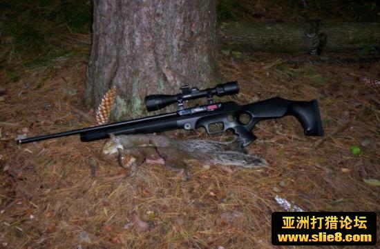 预储气式气动步PCP,中国狩猎