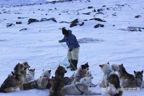 亚洲狩猎必将成为中国狩猎产业业的先进继承者