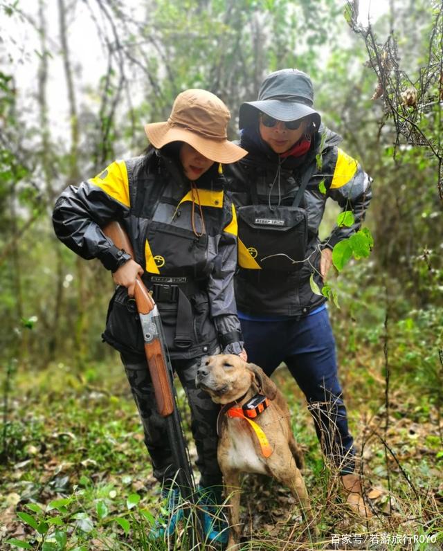 在丛林中狩猎，主要的狩猎工具是最好的射击武器