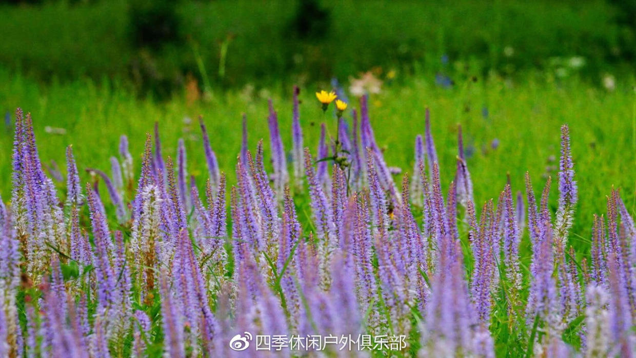 带着无法抗拒的诱惑,中国狩猎玩家踏上旅途