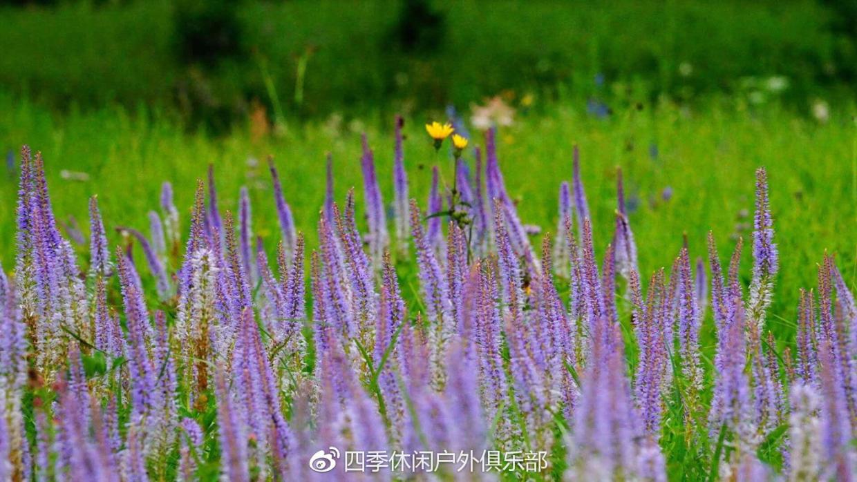 狩猎爱好者 中国狩猎玩家的积极响应号召再次踏上旅途